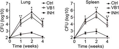 Vitamin B1 Helps to Limit Mycobacterium tuberculosis Growth via Regulating Innate Immunity in a Peroxisome Proliferator-Activated Receptor-γ-Dependent Manner